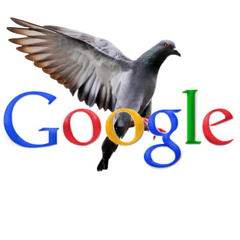 google pigeon