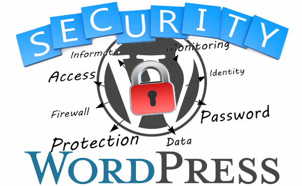 protect your wordpress security