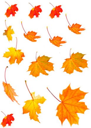 Things-SEO-Professionals-Need-to-be-Thankful-For